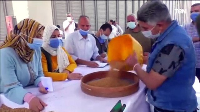 مواقع استلام الاقماح تواصل استقبال محصول القمح وسط الالتزام بالاجراءات الاحترازية