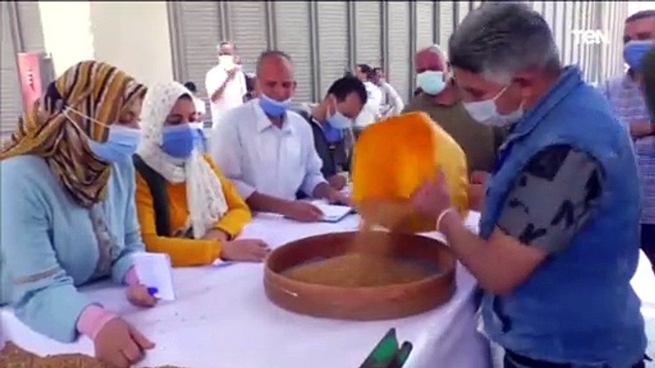 مواقع استلام الاقماح تواصل استقبال محصول القمح وسط الالتزام بالاجراءات الاحترازية