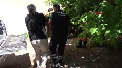 SİVAS'TA HAYVANSEVERLERDEN 'TOSTOS' TEPKİSİ