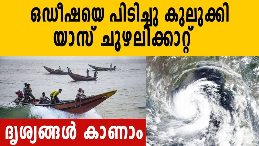 cmsvideo