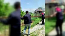 TOKAT - İtfaiyeci dumandan etkilenen danaya suni teneffüs yaptı (2)