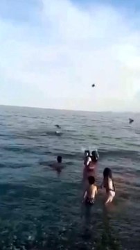 Denizdeki yavru kargaya yardım edeyim derken, yetişkin kargaların saldırısına uğradı