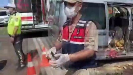 Tokat’ta iki araç kafa kafaya çarpıştı: 3 ölü, 8 yaralı