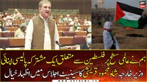 Foreign Minister Shah Mehmood Qureshi's remarks in the Senate session