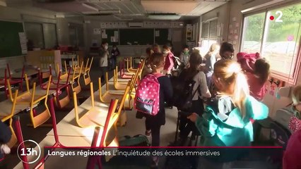 Langues régionales : vers la fin des écoles immersives ?