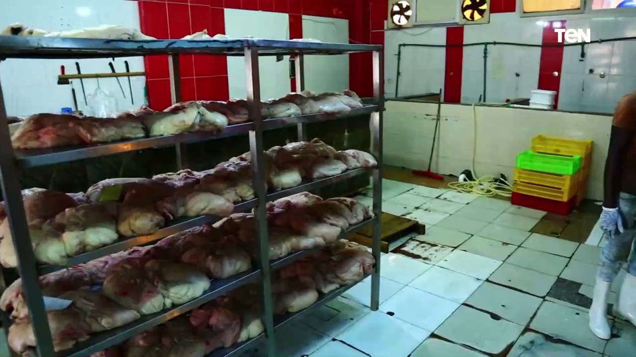 ضبط 12 طن لحوم ودواجن غير صالحة للاستهلاك الآدمى