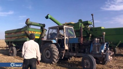 من المسؤول عن تراجع المحصول الزراعي الجفاف والمناخ أم نظام أسد؟