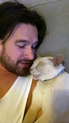 Cat Talks in its Sleep