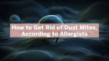 How to Get Rid of Dust Mites, According to Allergists