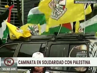 Dip. Asia Viellgas: El pueblo venezolano apoya a Palestina ante la ocupación de Israel