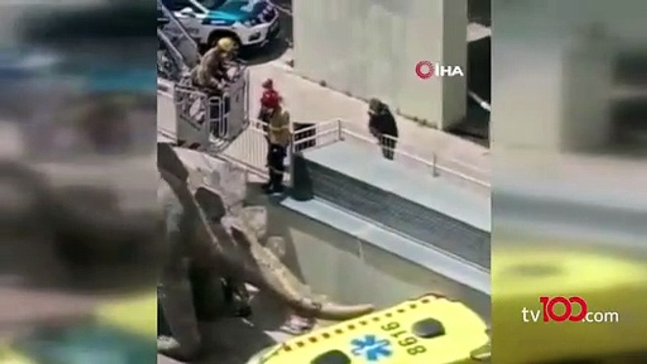 Dinazor heykelinin içinden ceset çıktı