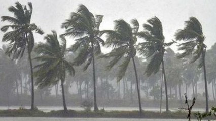 ಹವಾಮಾನ ಇಲಾಖೆಯಿಂದ ಭಾರಿ ಮಳೆ ಸೂಚನೆ! ಮೀನುಗಾರರಿಗೆ ಎಚ್ಚರಿಕೆ | Oneindia Kannda