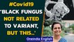 Black fungus not related to variant, but steroids overuse: Virologist Gagandeep Kang| Oneindia News