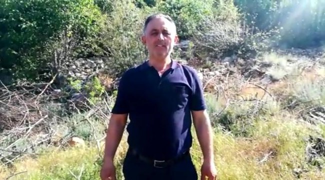 Kurtlar 18 küçükbaş hayvanı telef etti