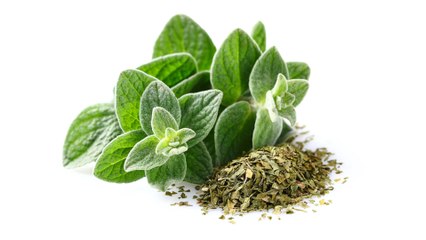 8 Propiedades y Beneficios del Orégano
