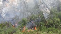 2 ayrı orman yangınında 7 dönüm alan zarar gördü
