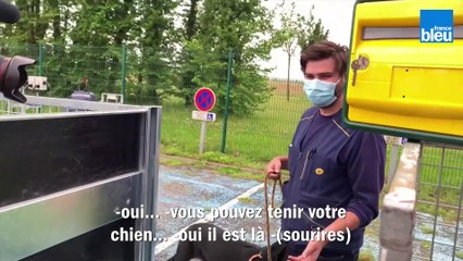 Que faire face à un chien ? Une formation pour les facteurs