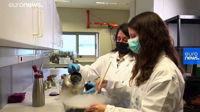 Novos produtos à base de microalgas à conquista do mercado