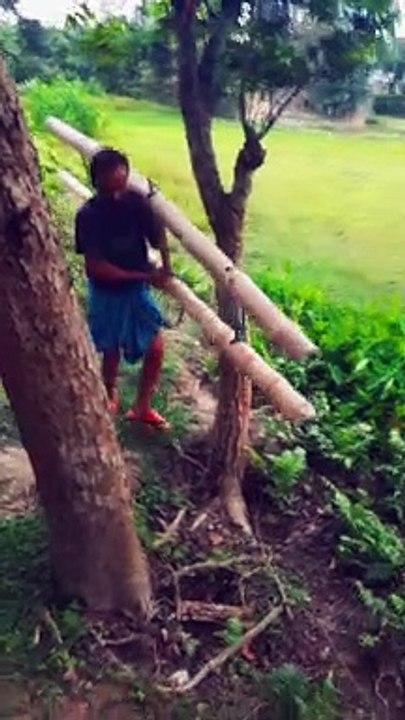 Parrot Chicks Rescued from Compromised Nest