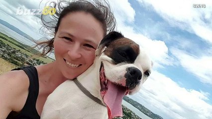 This Dog Is Able to Give CPR After Learning New Trick