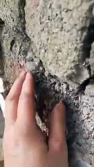 Mica - the devastating impact for Donegal homeowners