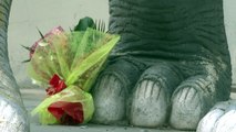 Man dies trapped inside a dinosaur statue in Spain