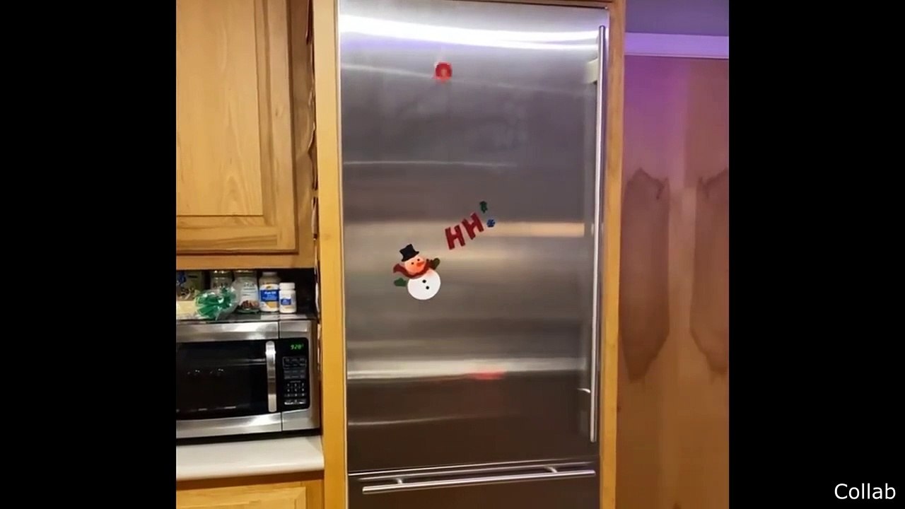 Cat Realizes Its Owner Is Pregnant