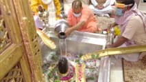 CM Yogi offers prayers at Vishwanath temple in Varanasi