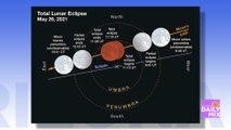 Dr. Sky on this Week’s Lunar Eclipse