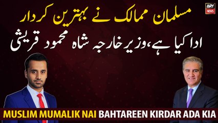 Muslim countries have played the best role, Foreign Minister Shah Mehmood Qureshi