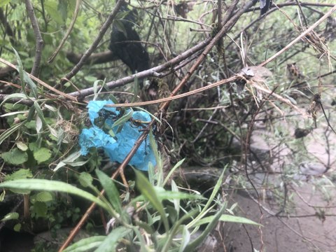 Haute-Savoie : une application pour cartographier la pollution plastique testée sur le Fier