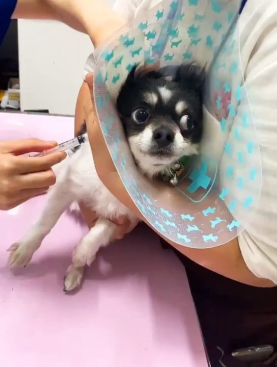 音量注意　まだ注射してない・・・