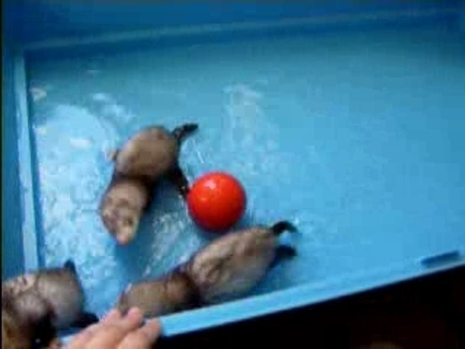 1er bain des bébés de Zoé