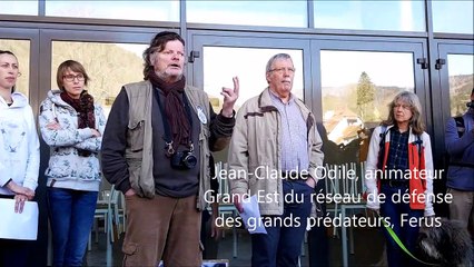 Marche blanche pour le lynx à Saint-Amarin