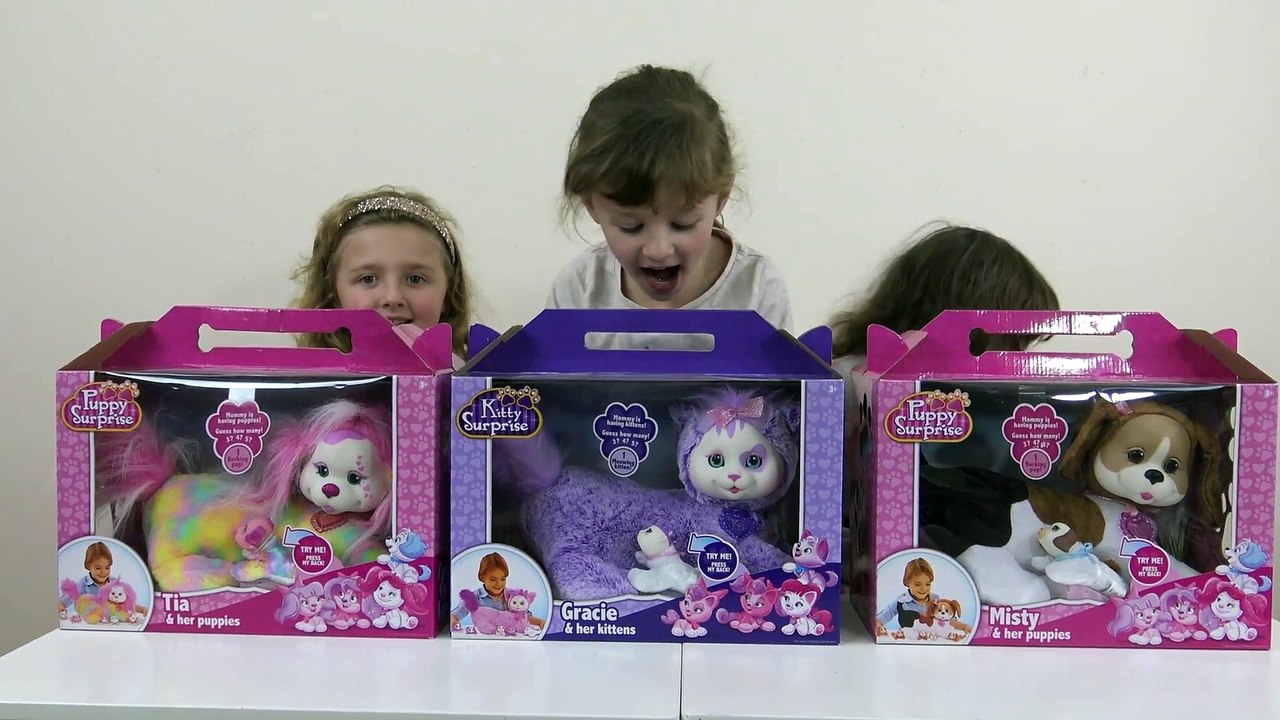 Puppy Surprise, Kitty Surprise - Cãozinho,  Gato e filhotes de  Pelúcia