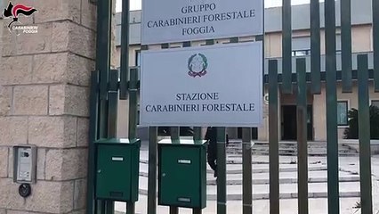 Foggia - Cardellini e altri uccelli stipati in gabbie in box auto (15.02.20)