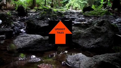 Updoot Tales r/Maliciouscompliance Reply to every single text