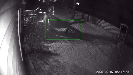 Woman Slips Down Deck and Startles Dog