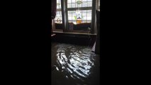 Restaurant Ruined by Flooding