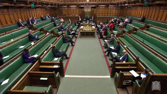 Abena Oppong-Asare tells deputy speaker that she has been mistaken for another black MP by Parliament TV