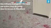 Le siège parisien de BlackRock dégradé par des militants écologistes
