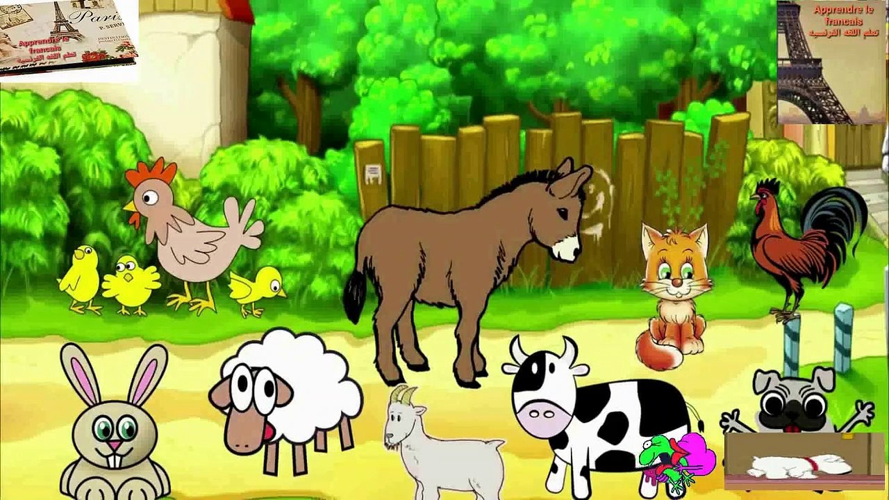 أسماء الحيوانات باللغة الفرنسية