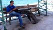 Aux Galapagos vous devez partager votre banc avec les lions de mer