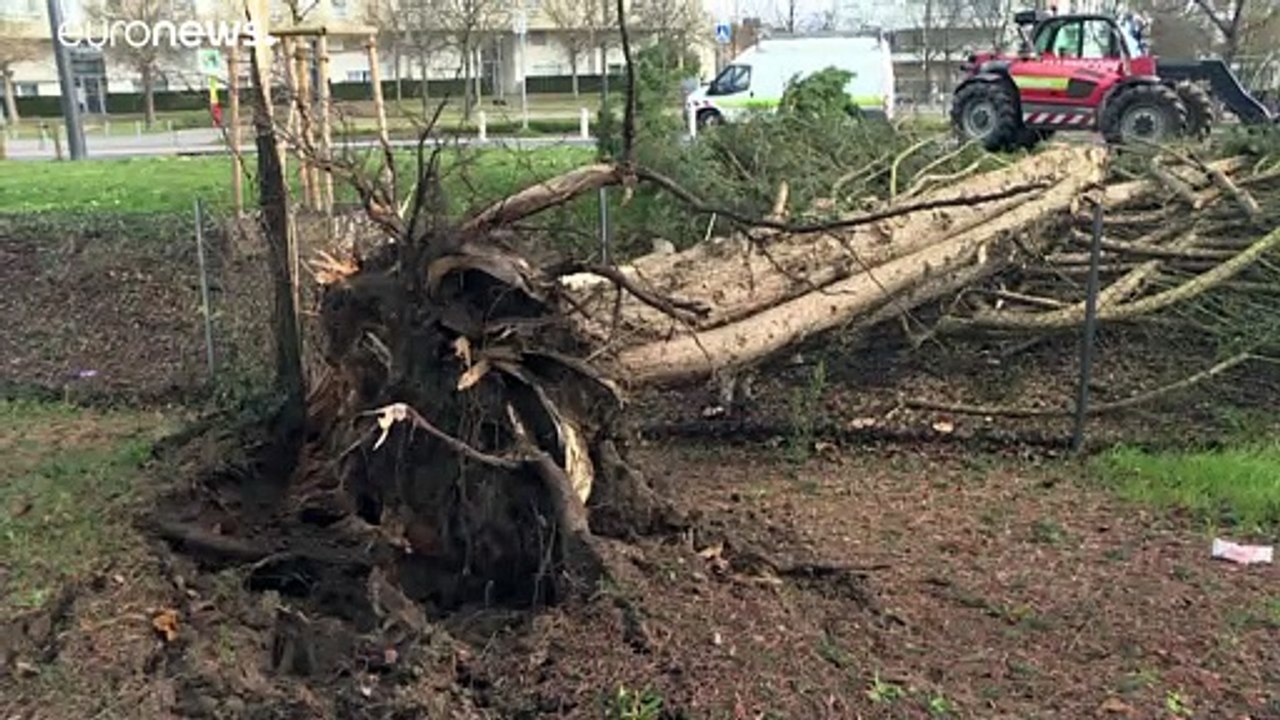 Mehrere Tote und Verletzte: Sturmtief 'Sabine' fegt über Europa