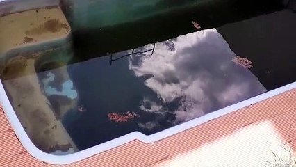 Morador reclama de piscina que estaria com água parada no Bairro Canadá