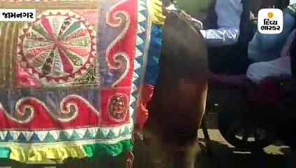 જોગવાડ ગામના પ્રવેશદ્વારના ઉદઘાટનમાં રાજ્યમંત્રી ધર્મેન્દ્રસિંહ જાડેજાએ બળદગાડુ ચલાવ્યું, વીડિયો વાઇરલ