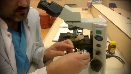 EŞSİZ MUCİZE! Mikroskobu Tanıyalım Fen ve Teknoloji Dersi