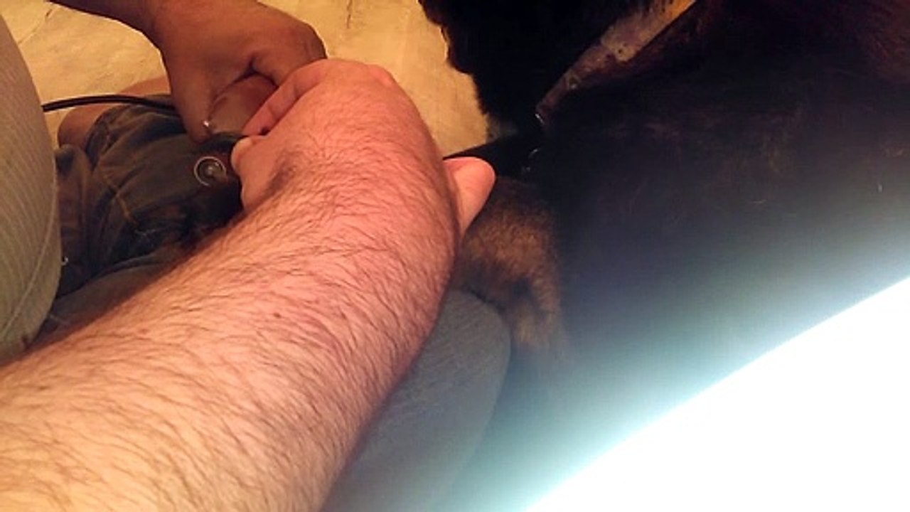 manicure