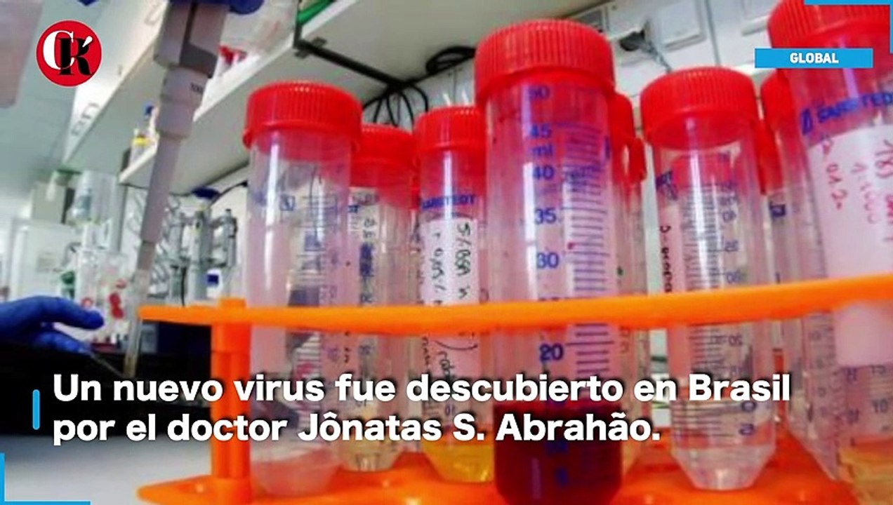 Nuevo virus brasileño