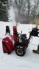 Silly Pup Plays with Snow Blower